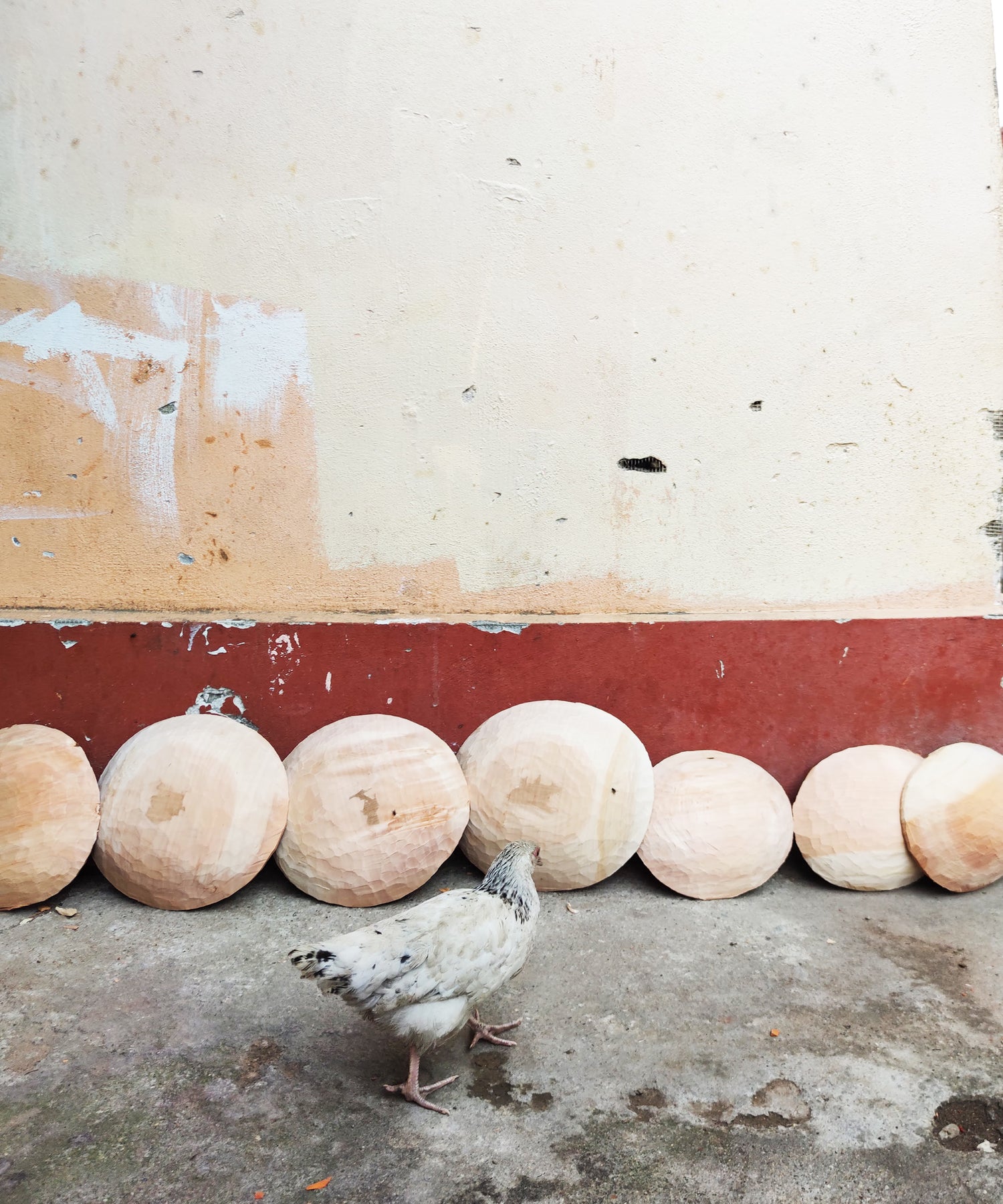 Crafting Legacies: The Timeless Artistry of the Lepădatu Family