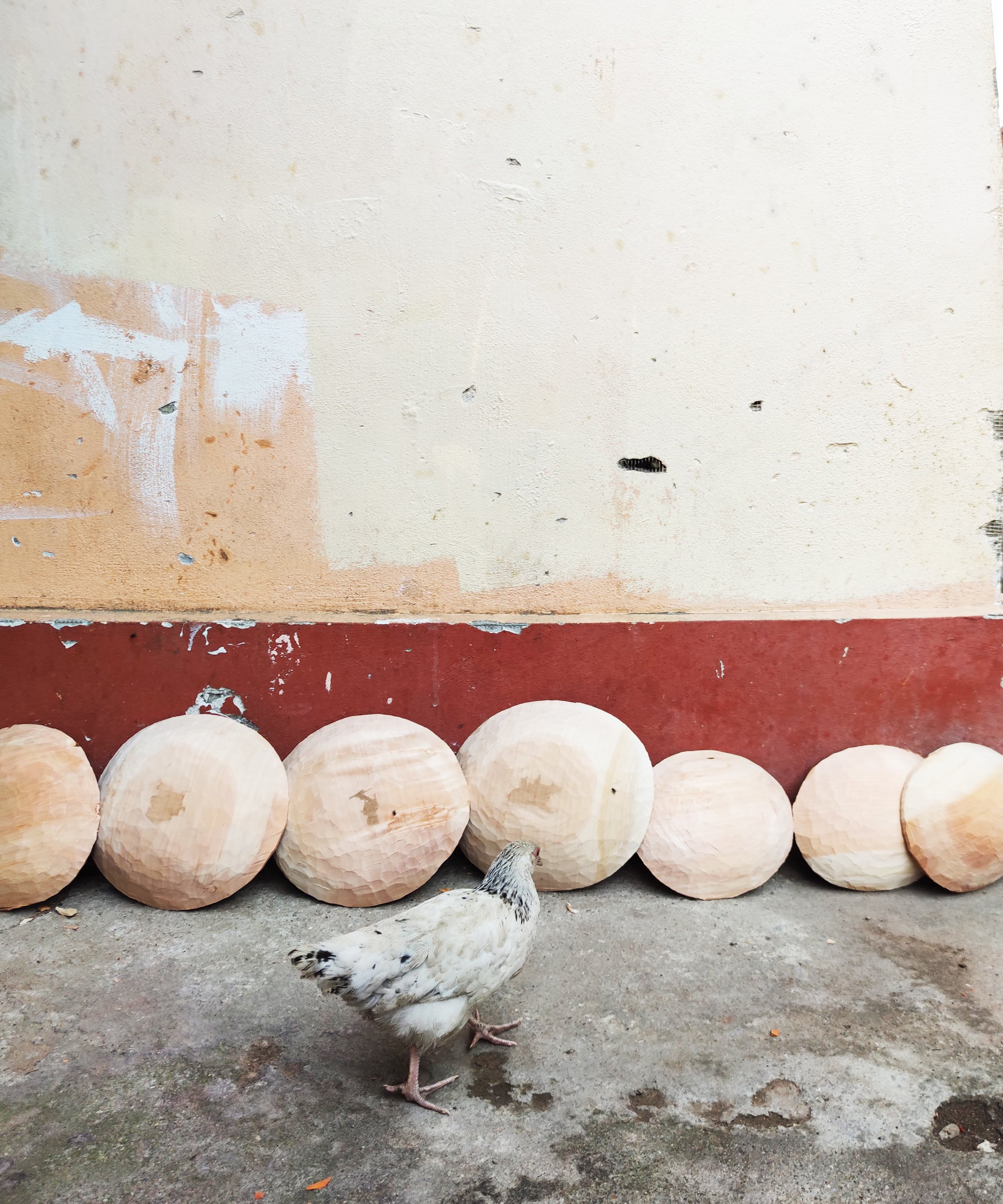 Crafting Legacies: The Timeless Artistry of the Lepădatu Family